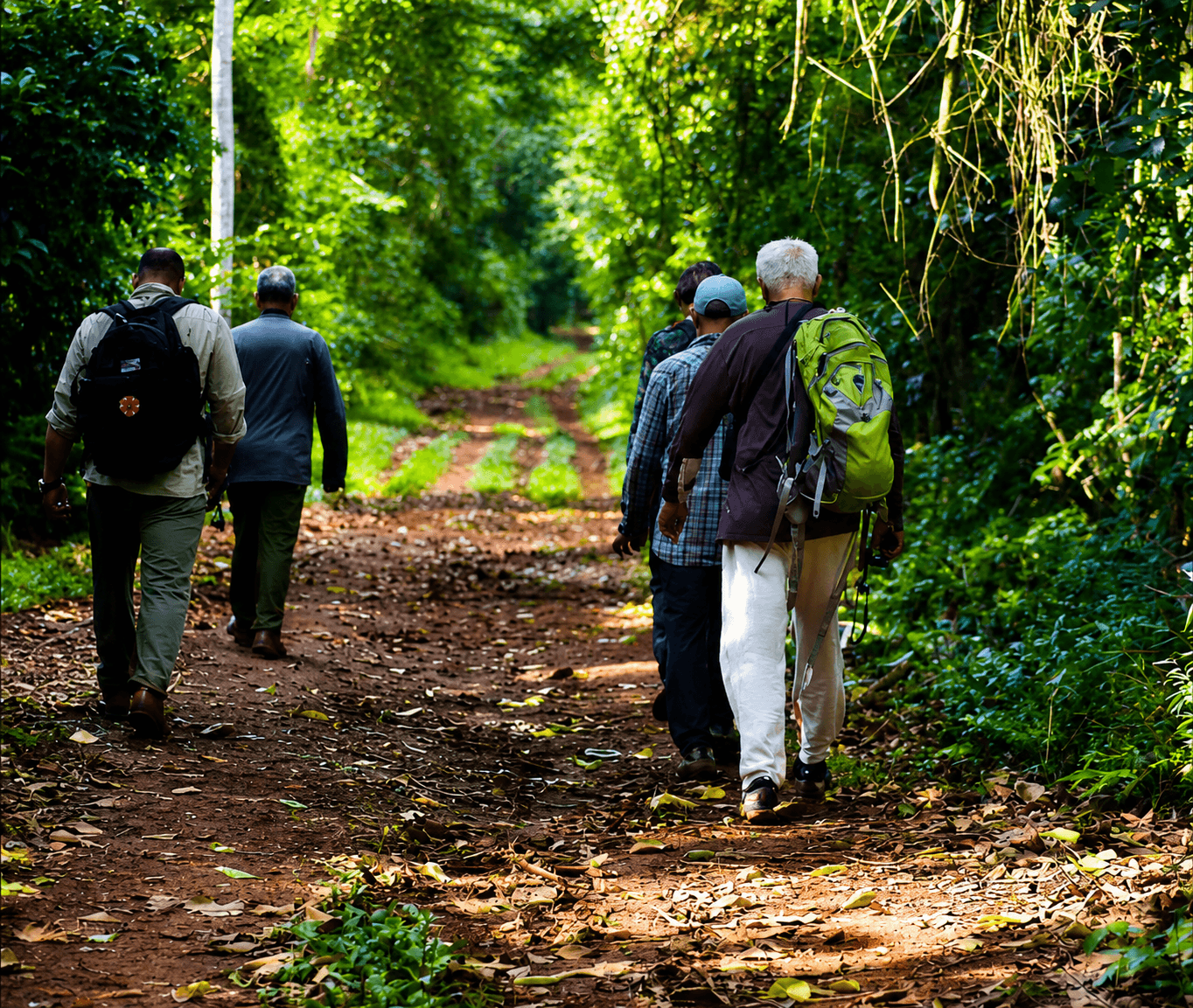 Trekking