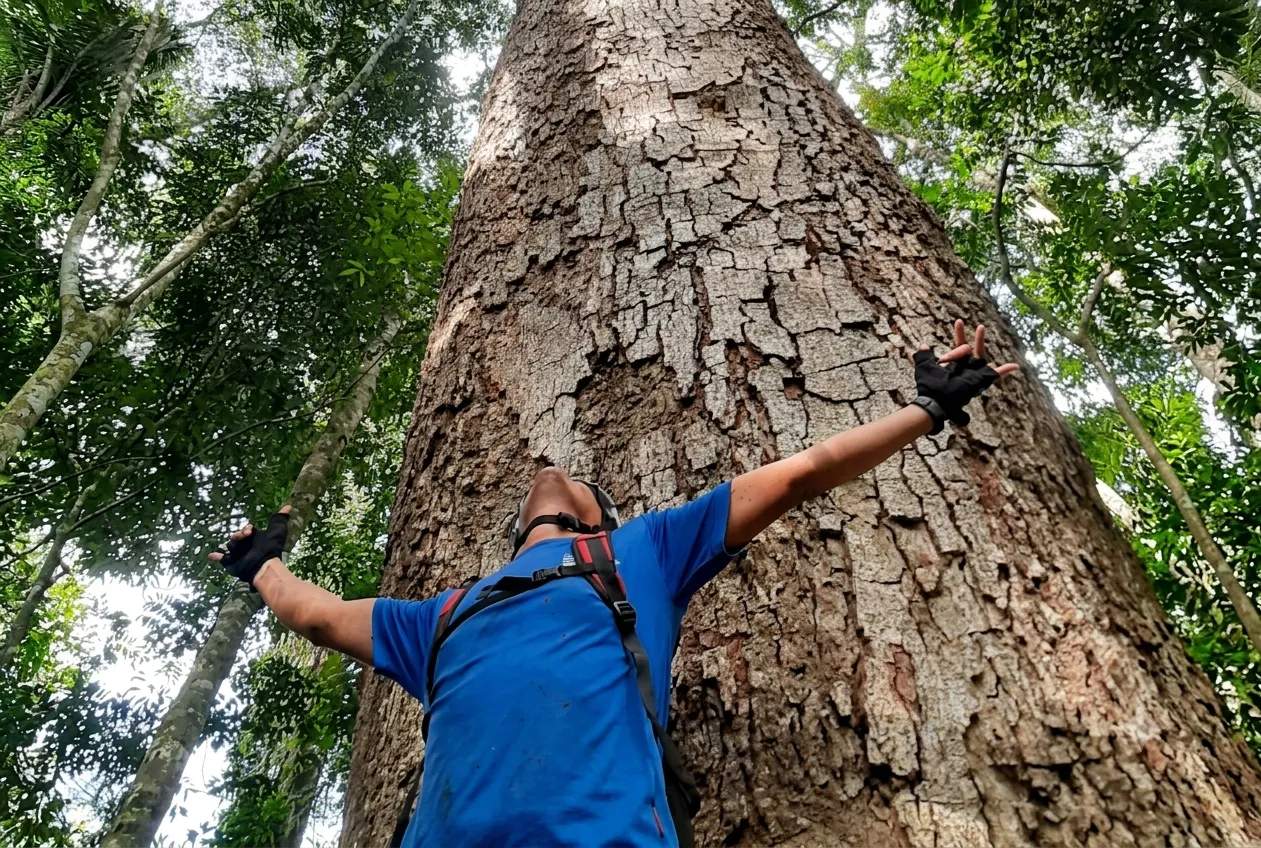 Mindfulness en la Selva